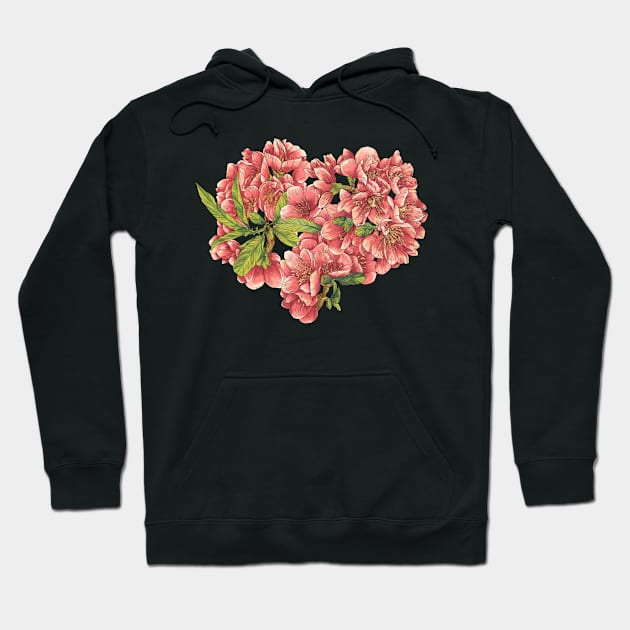 Quince flower Hoodie by orsinha